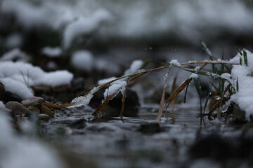 Winter stream in forest morning sunrise