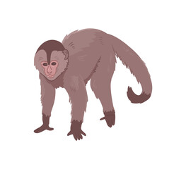 Icon of monkey. Big ape with large ears, brown fur and light face. Wild African monkey. Zoo or wildlife theme. Cartoon vector illustration isolated on white background
