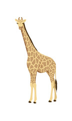 Icon of african giraffe. Wild savannah giraffe. Zoo or wildlife theme. Cartoon vector illustration isolated on white background