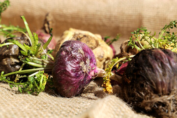 Peruvian Maca. Aphrodisiac root. Energetic and increases vitality