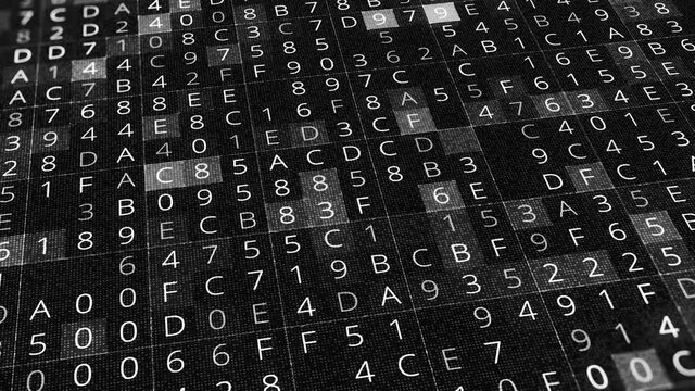 Background of changing numbers and letters. Animation. Black and white background of changing numbers in cells. Computer coding with multiple letters and numbers
