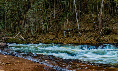 Fototapeta na wymiar White water from river rapids flowing through the woods