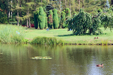 People spend the weekend in nature near the lake. Covid-19 isolation in nature