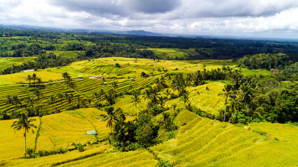 Beautiful Rice Terraces field aerial view