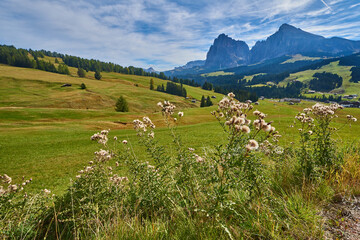 Fototapeta na wymiar Autumn landscape in the Dolomite Alps