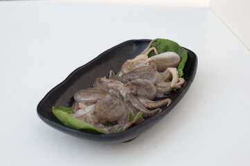 raw octopus
