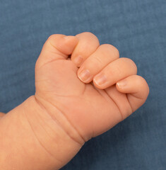 Closeup of newborn baby's hand. Happy Family concept. Beautiful newborn and infant baby photo. lifestyle.