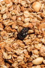 Homemade Granola background filling the frame for desing