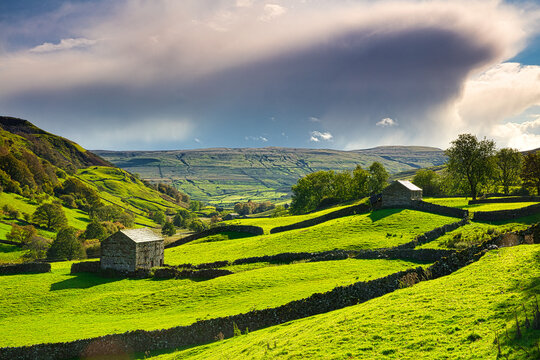 Hay Barns in Upper Swaledale in Autumn, Yorkshire Dales, England, UK
