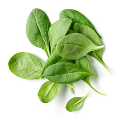 fresh green spinach leaves