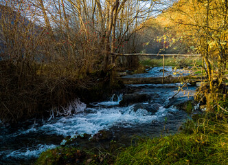 a small wild river in nature in mid-autumn, with plenty of greenery