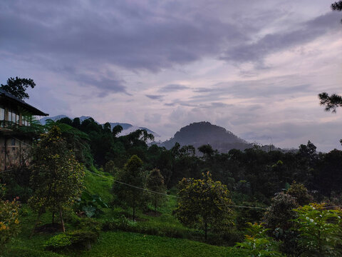 nature view