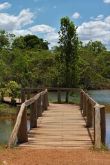 Fototapeta na wymiar Pontes no laguinho