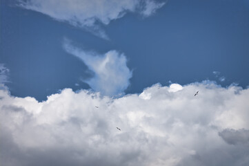 Blue summer sky with white cumulus clouds. Blue sky with clouds nature background.