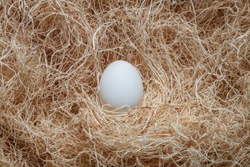 Egg in crate of straw