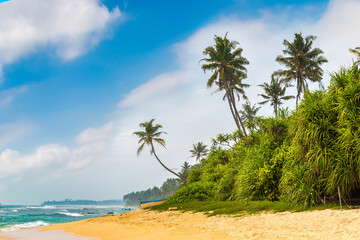 Beach in Sri Lanka