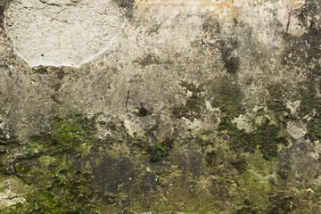 Текстура старой стены