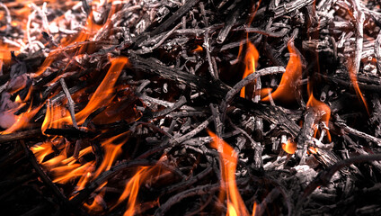 fire texture, close-up. Background with flame .