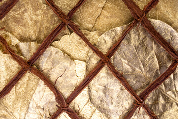 Abstract gold fortuna leaves close up