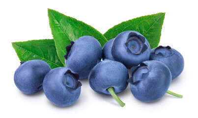fresh blueberry isolated on white background closeup with clipping path and full depth of field
