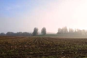 Obraz premium Autumn landscape in Bavaria with a harvested corn field in front of rising fog in the morning