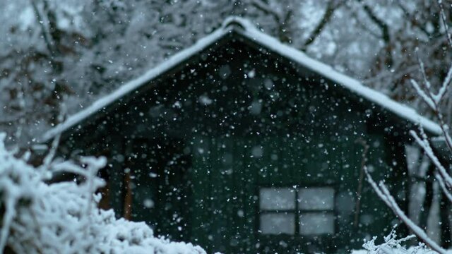 SLOW MOTION TIME WARP, BOKEH, CLOSE UP, DOF: Cinematic shot of a blizzard covering nature surrounding a small cabin in the coniferous woods. A flurry of delicate snowflakes covers the forest and shack
