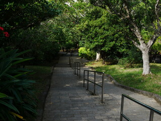 Fototapeta na wymiar 自然公園内の下り階段