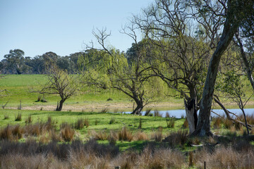 The Town of Dookie, Victoria, Australia in Spring
