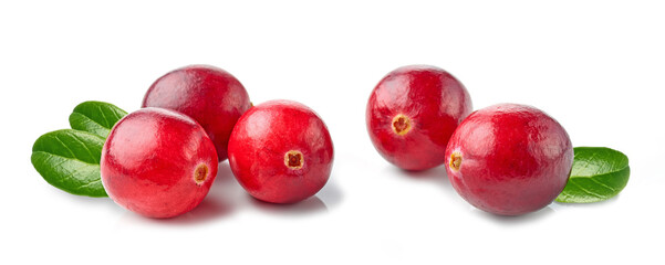 fresh red cranberries