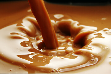 Chocolate milk or Milk Tea