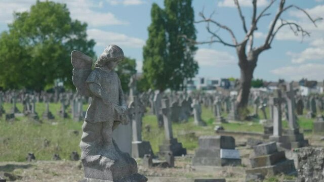 An angel tombstone in the middle of a graveyard.