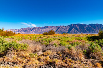 USA, CA, 30 of November 2020, Death Valley, Scenic view.  Lifeless desert with it`s own Flora. 