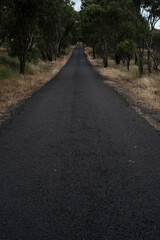 single lane country road