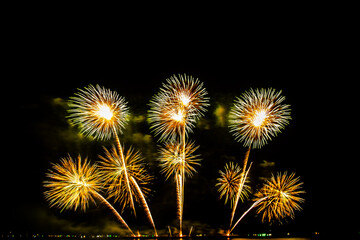 colorful fireworks,Beautiful multi color fireworks explosions lighting sky over trees silhouette...
