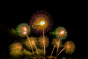 Obraz premium colorful fireworks,Beautiful multi color fireworks explosions lighting sky over trees silhouette and over an illuminated,celebration concept