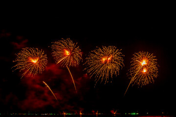 colorful fireworks,Beautiful multi color fireworks explosions lighting sky over trees silhouette...
