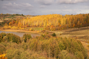 Fototapeta premium Autumn landscape near Izborsk city. Russia