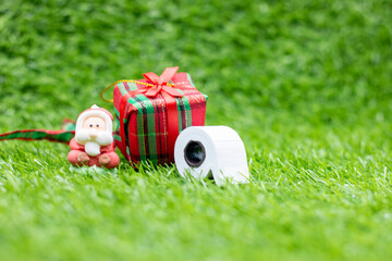 Santa Claus with gift and tissue paper are on green grass