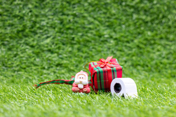 Santa Claus with toilet roll for Christmas Holiday on green grass