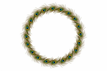 peacock feathers frame in white  background with text copy space