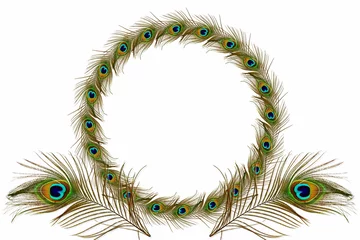 Fotobehang peacock feathers frame in white  background with text copy space © gv image
