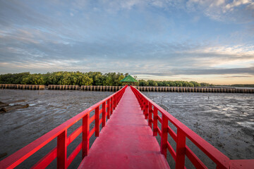 Obraz premium Golden natural sea sunrise view of Mangrove forest and wooden bridge with orange sky landscape at Bangkhuntien, Bangkok, Thailand.