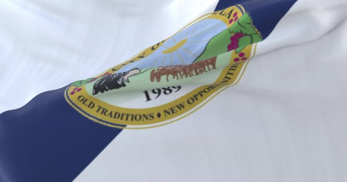 Flag of Temecula, city of California, United States of America, slow - loop