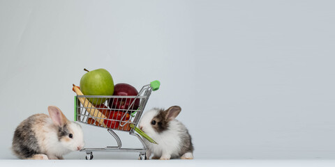 White isolated background banner poster copy space decoration ornament rabbit bunny easter is eating vegetable fruits health banana tomato apple grapes carrot in shopping cart supermarket store 