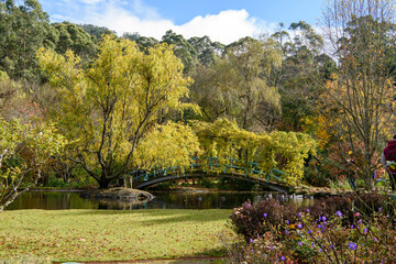 Autumn at Tieve Garden, Mount Macedon