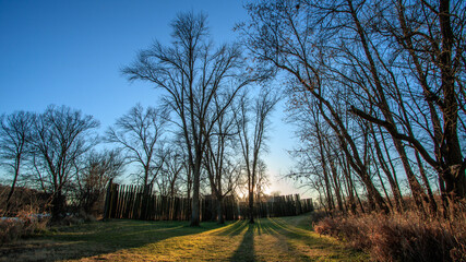 Obraz premium Dancing with the setting sun