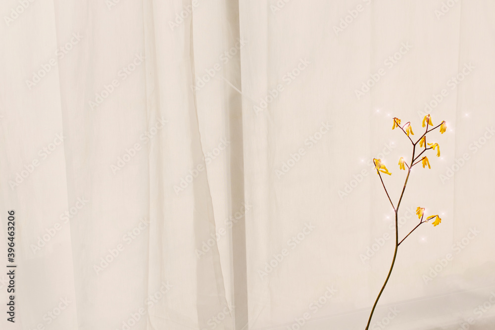 Wall mural branch pattern sparkle effect image background