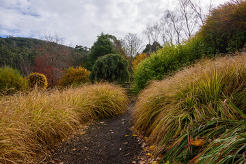 Autumn at Tieve Garden, Mount Macedon
