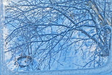 Fototapeta na wymiar View of the winter garden from the icy window