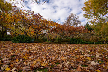 Autumn at Tieve Garden, Mount Macedon